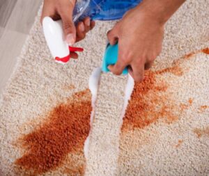 Read more about the article Rug Cleaning Hacks You’ll Wish You Knew Sooner